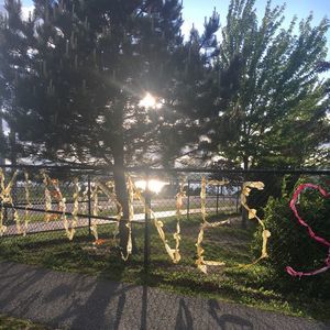 Meet your Posher, Leska